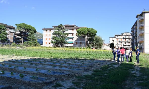 Visita presso l'Azienda Agricola Paolo Colzi di Prato